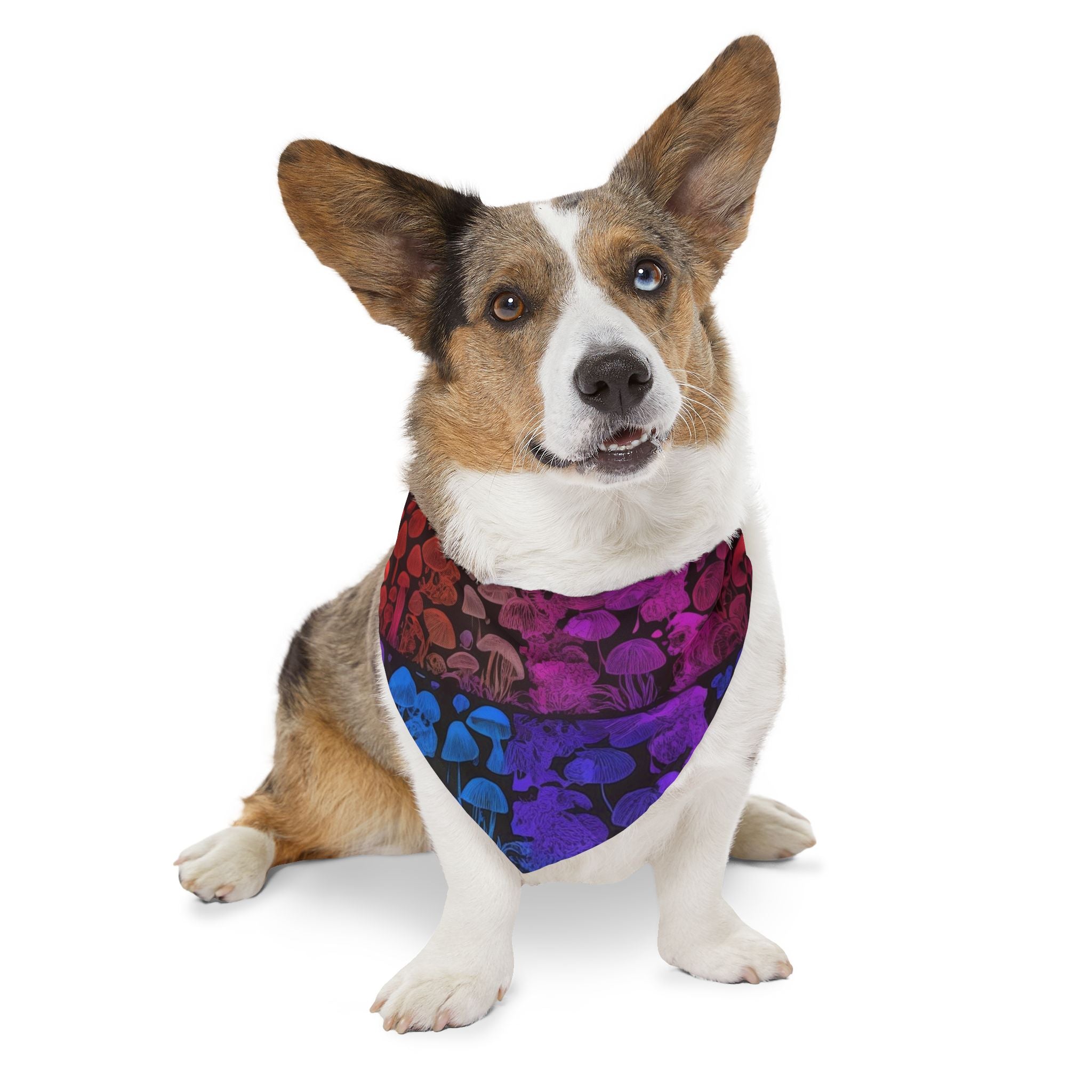 Shroom Bloom Spectrum Pet Bandana Where Fungi Meets Fashion
