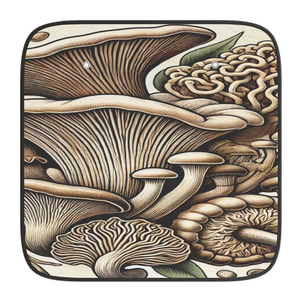 Mushroom Kingdom Adventure