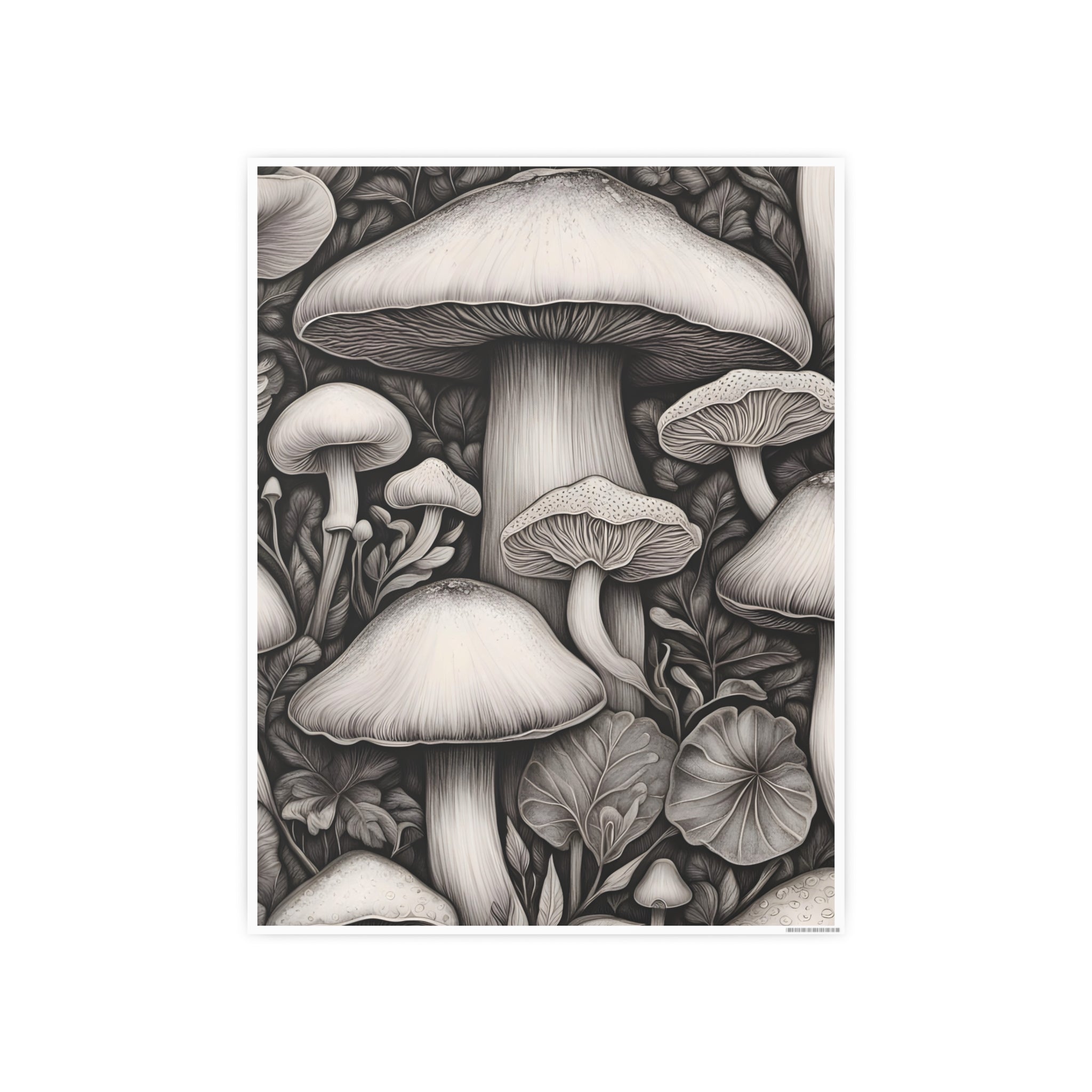 Poster: Mushroom Illustration Poster — Botanical Fungi Art Print