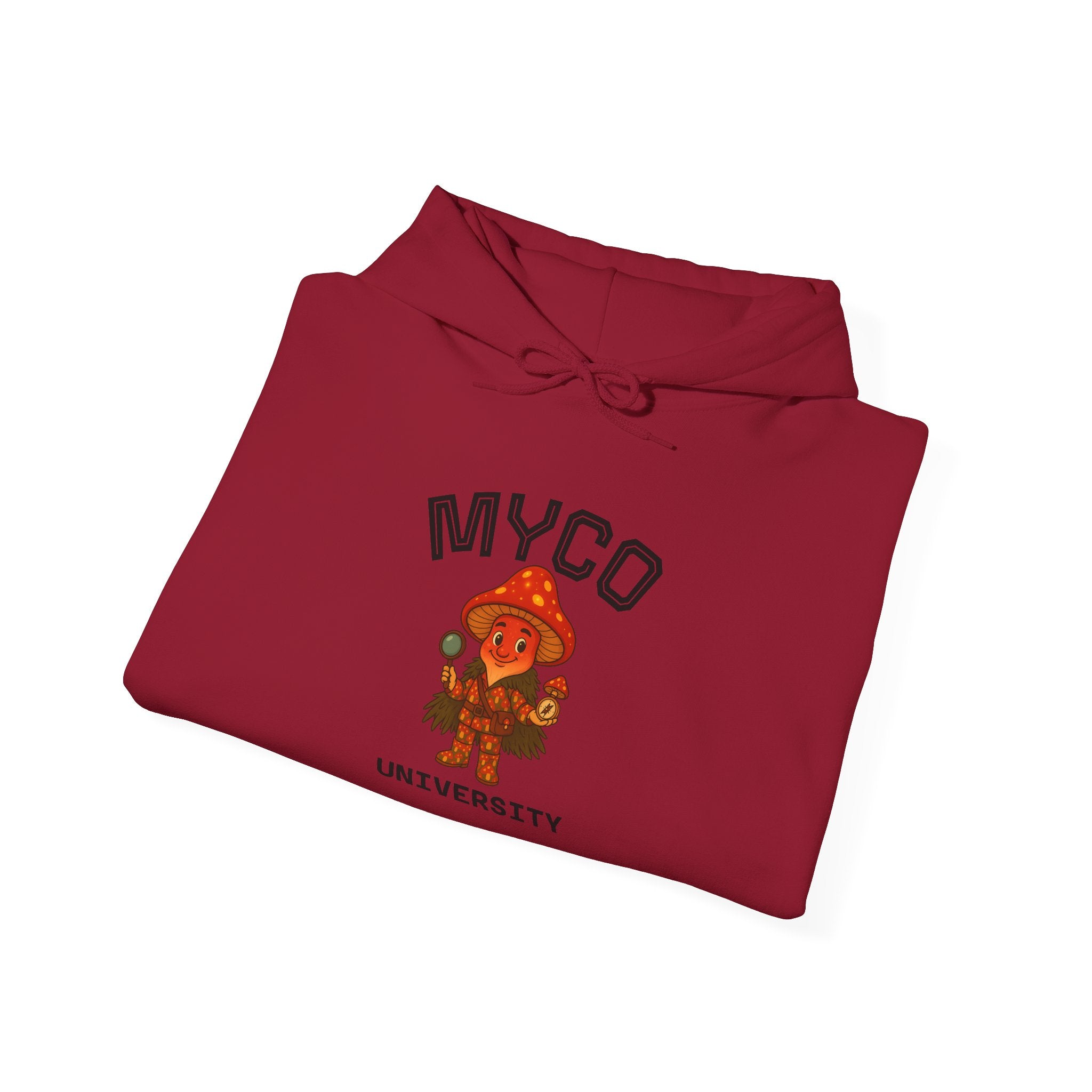 Myco University Lion & Mushroom Hoodie — Psychedelic Lion Graphic Pullover