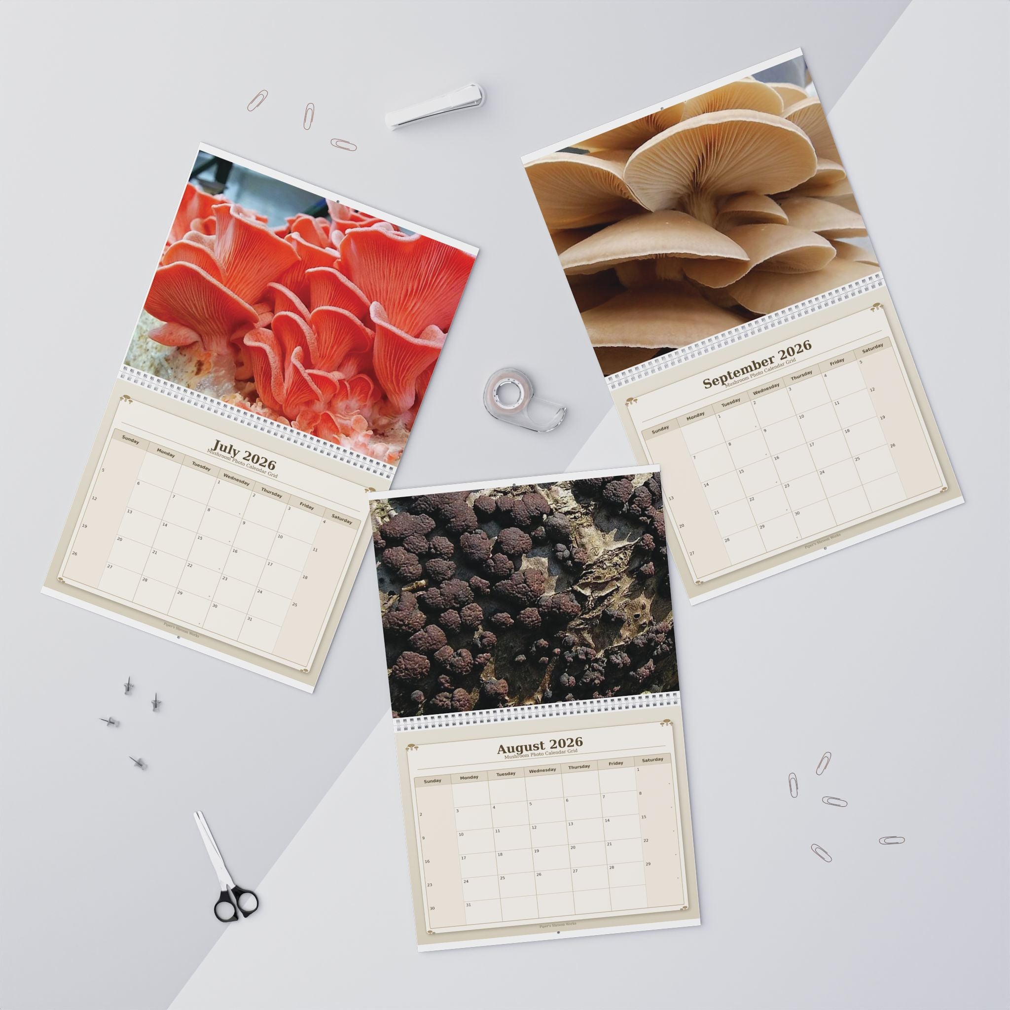 Mushroom Wall Calendar — 12-Month Fungi Photography Calendar (Monthly Planner)