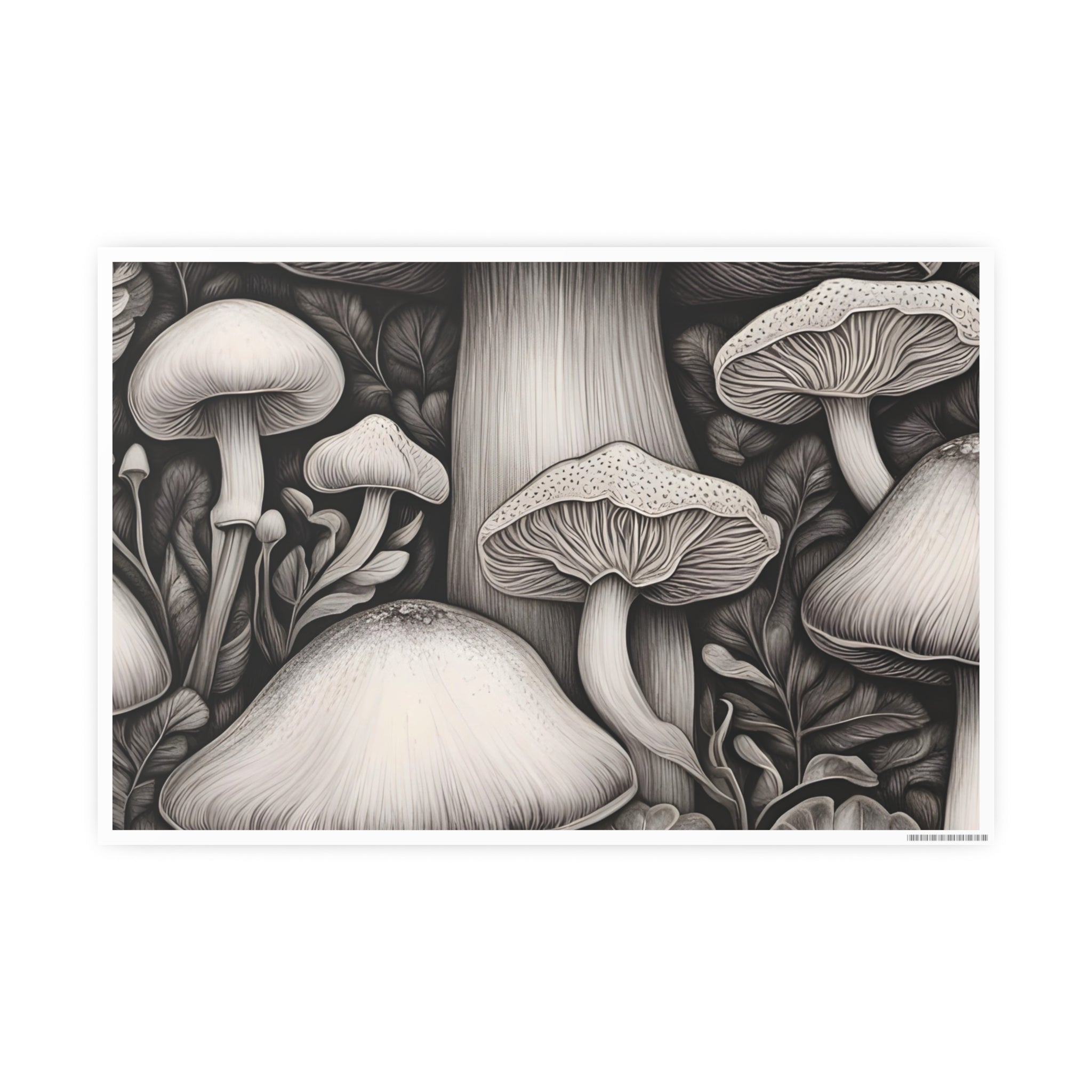 Poster: Mushroom Illustration Poster — Botanical Fungi Art Print