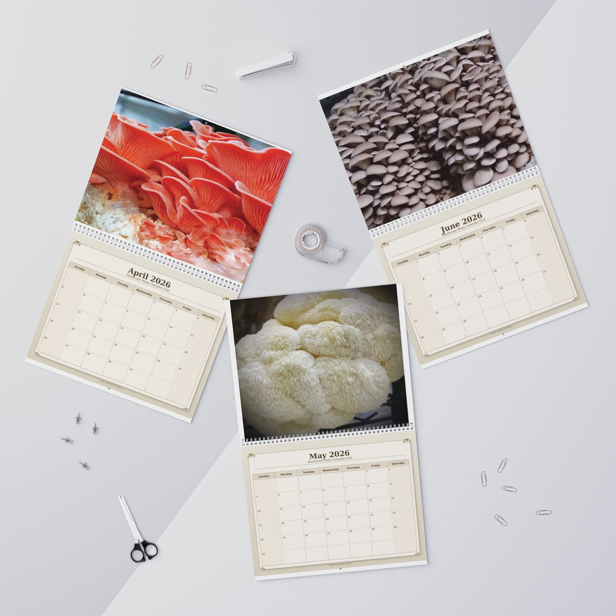 Mushroom Wall Calendar — 12-Month Fungi Photography Calendar (Monthly Planner)