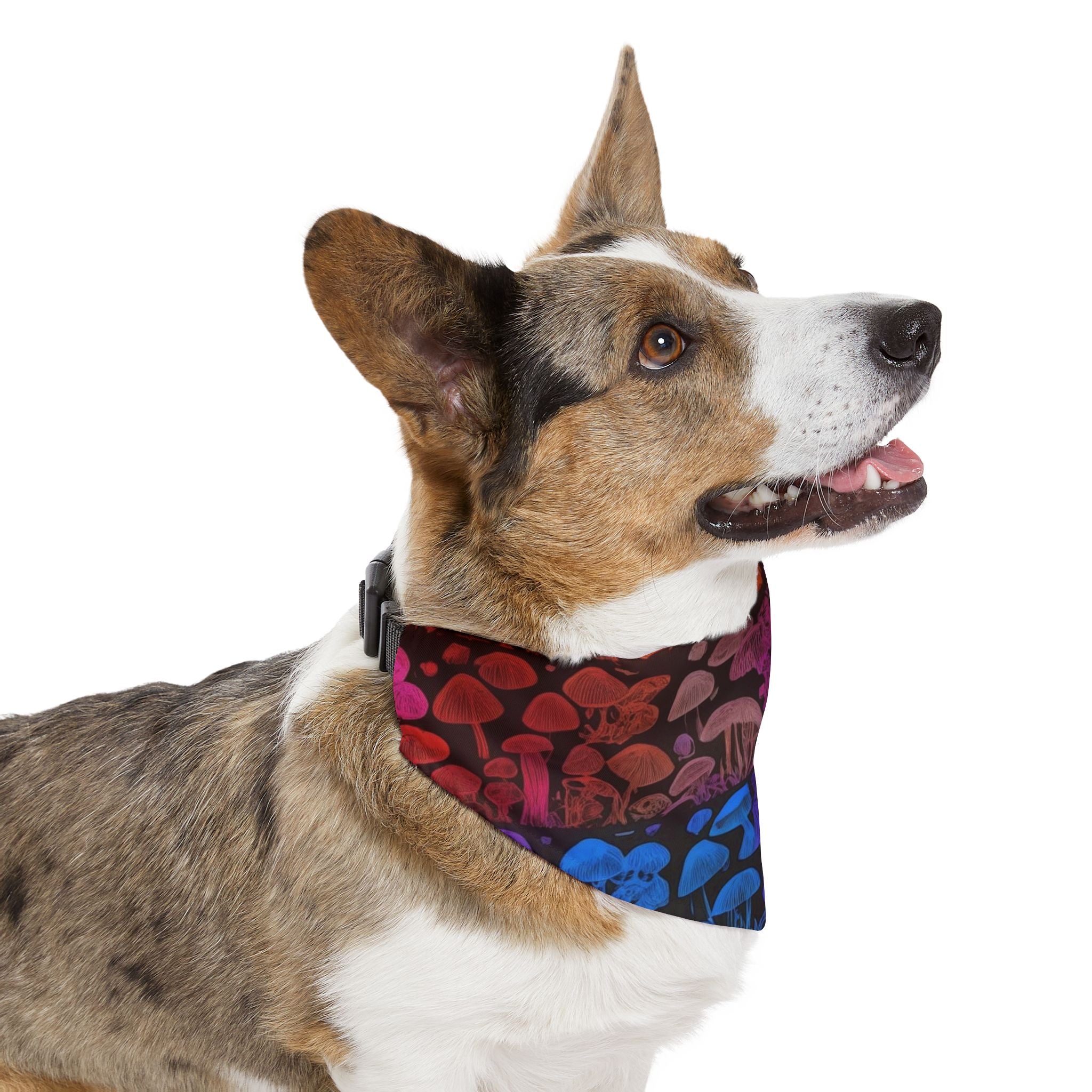 Shroom Bloom Spectrum Pet Bandana Where Fungi Meets Fashion