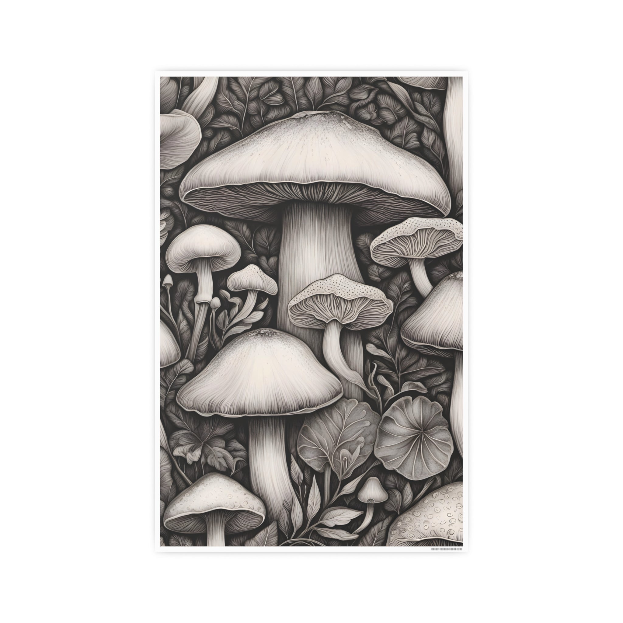 Poster: Mushroom Illustration Poster — Botanical Fungi Art Print