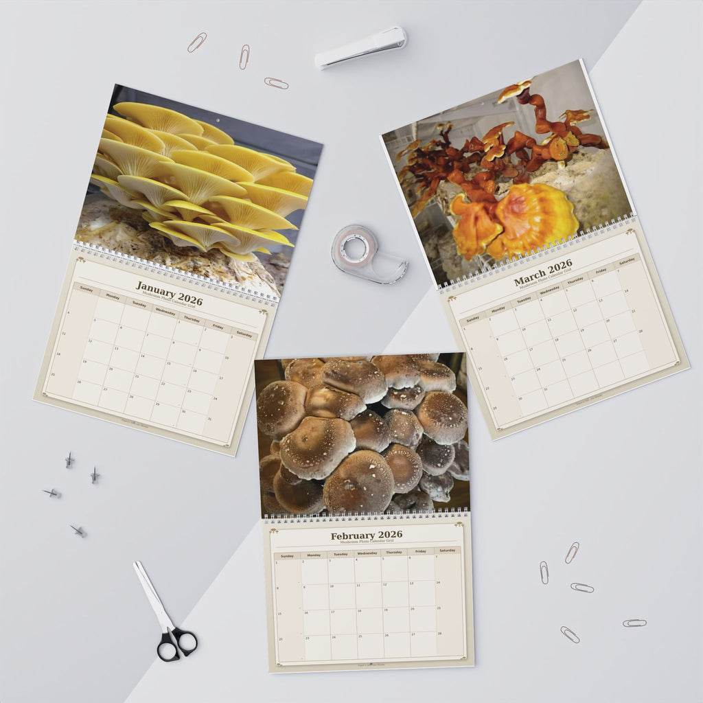 Mushroom Wall Calendar — 12-Month Fungi Photography Calendar (Monthly Planner)