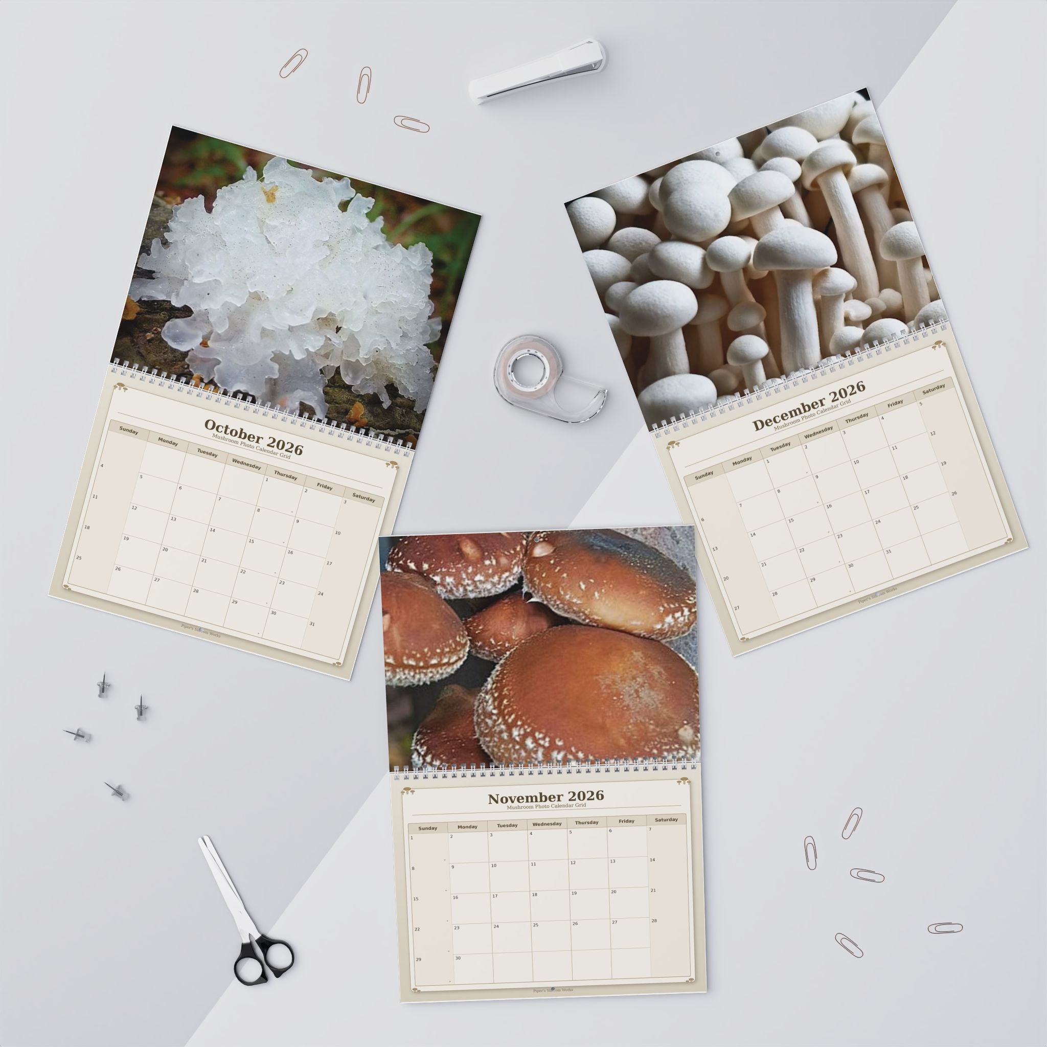 Mushroom Wall Calendar — 12-Month Fungi Photography Calendar (Monthly Planner)
