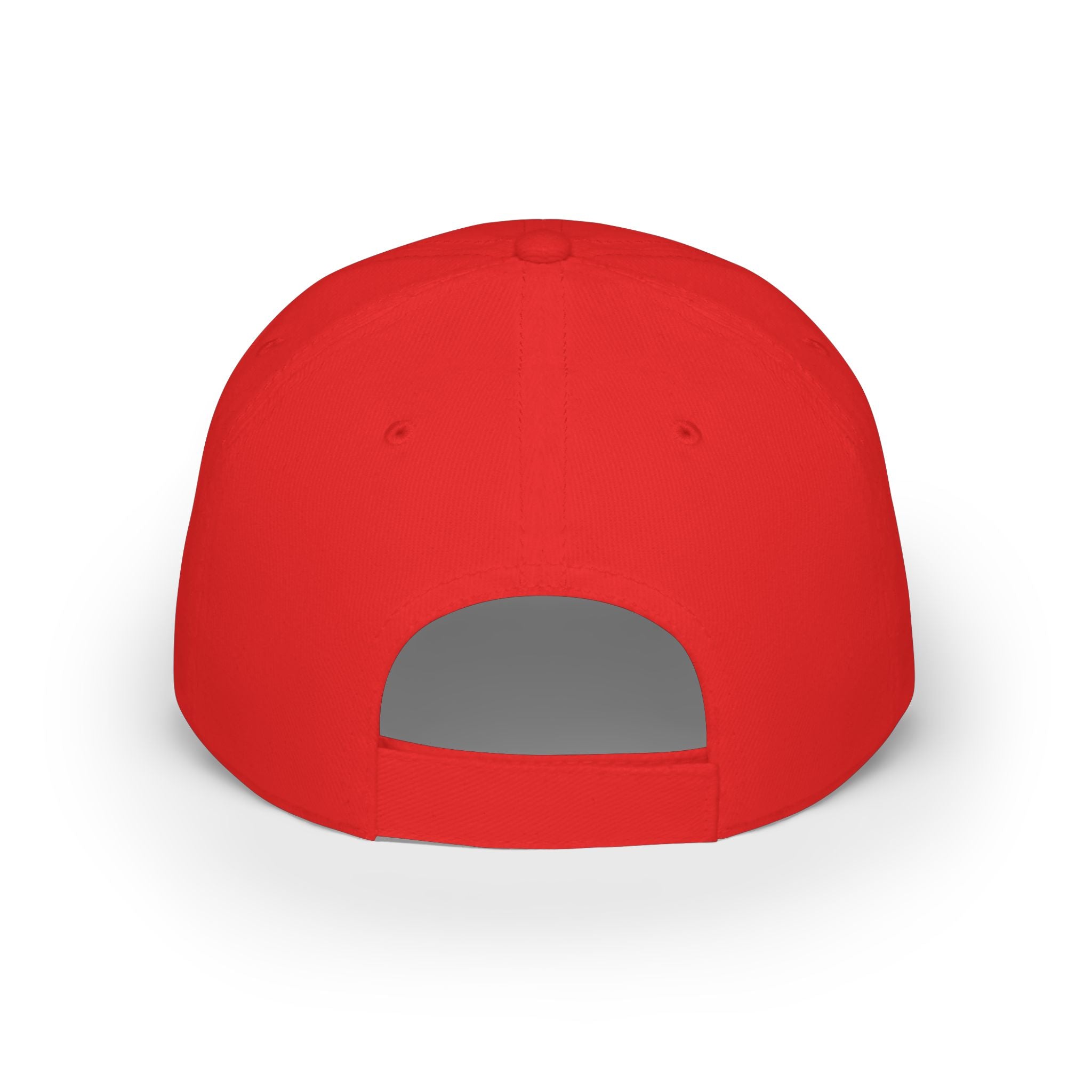 Mushroom Lovers Baseball Cap – Shroom Squad Vintage Embroidered Hat