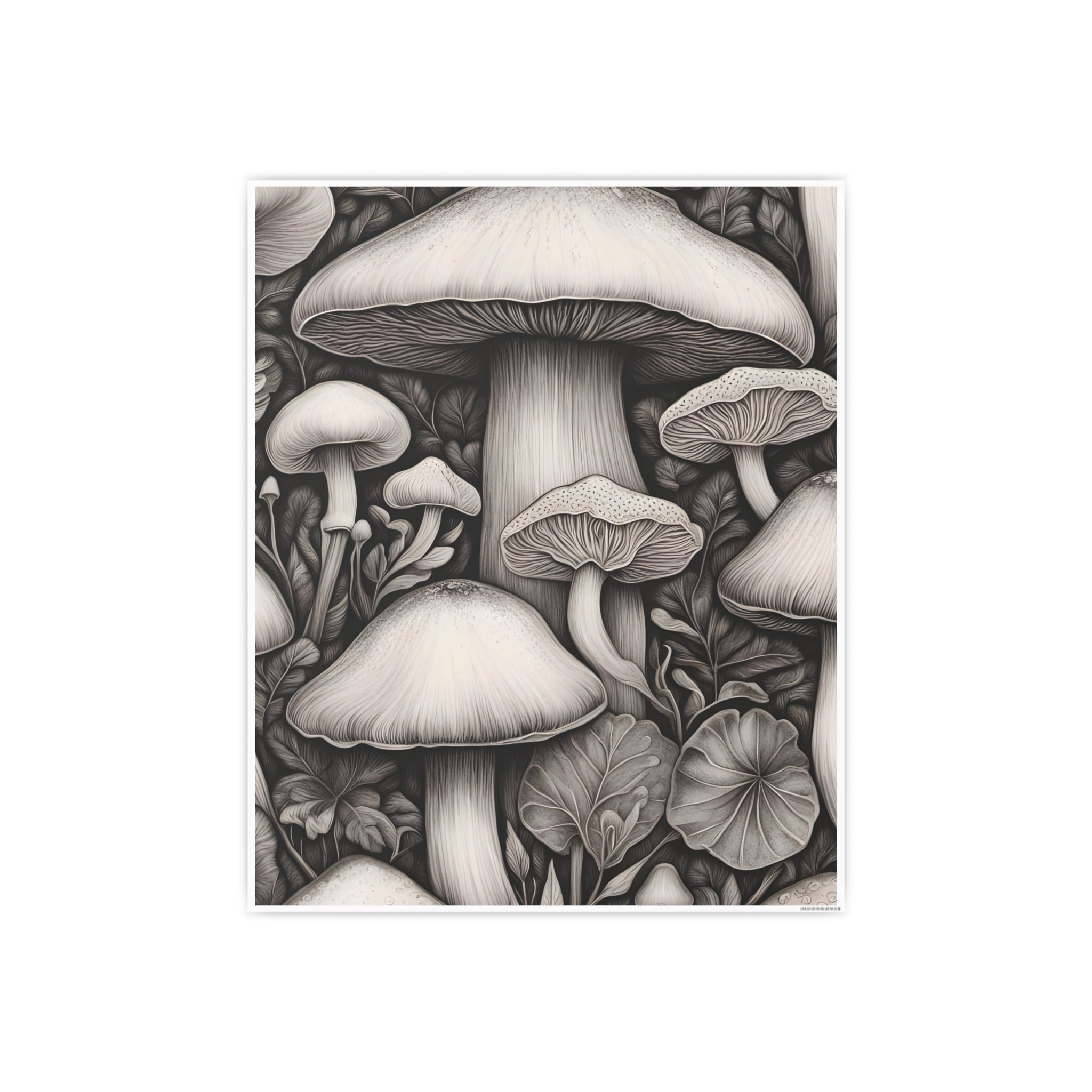 Poster: Mushroom Illustration Poster — Botanical Fungi Art Print