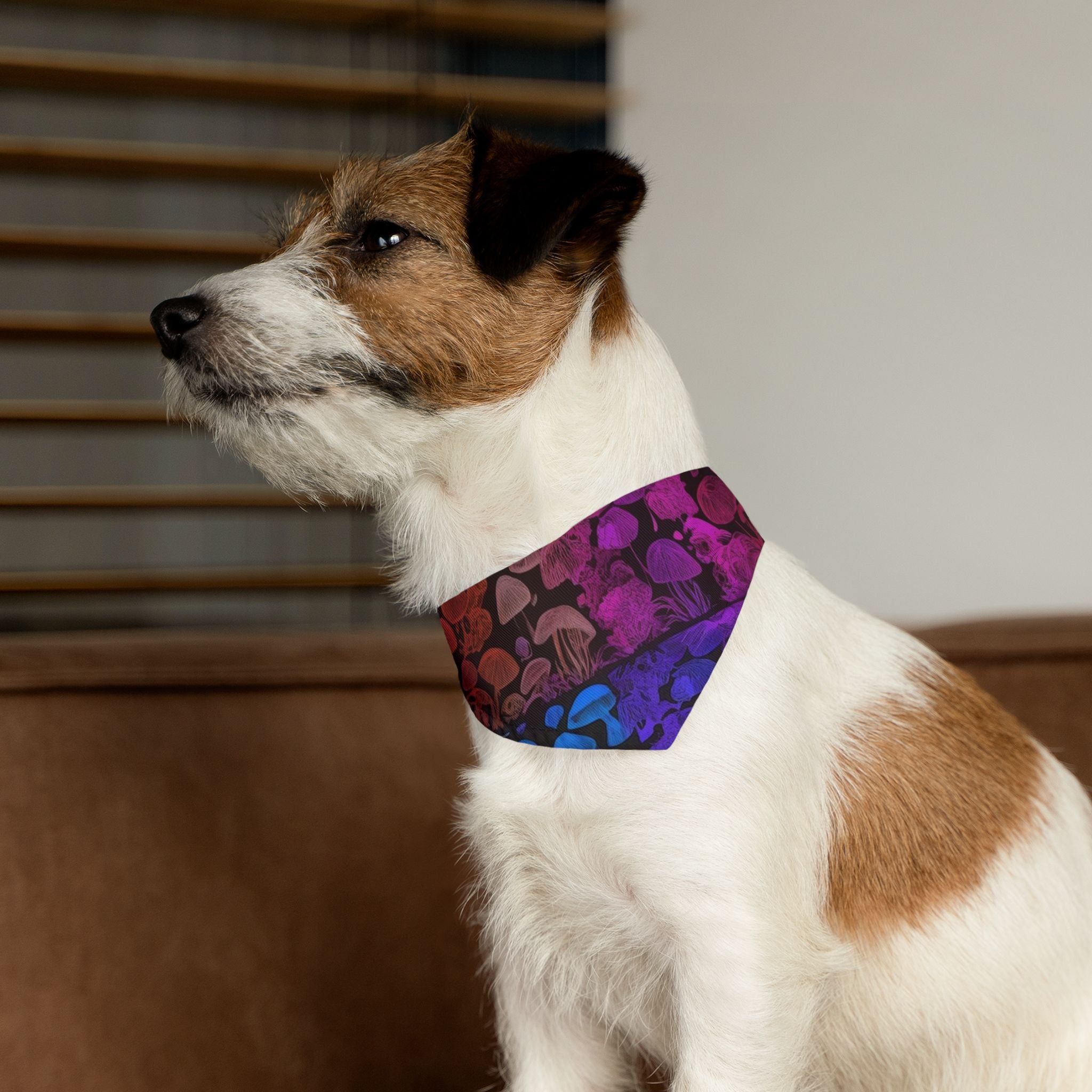 Shroom Bloom Spectrum Pet Bandana Where Fungi Meets Fashion