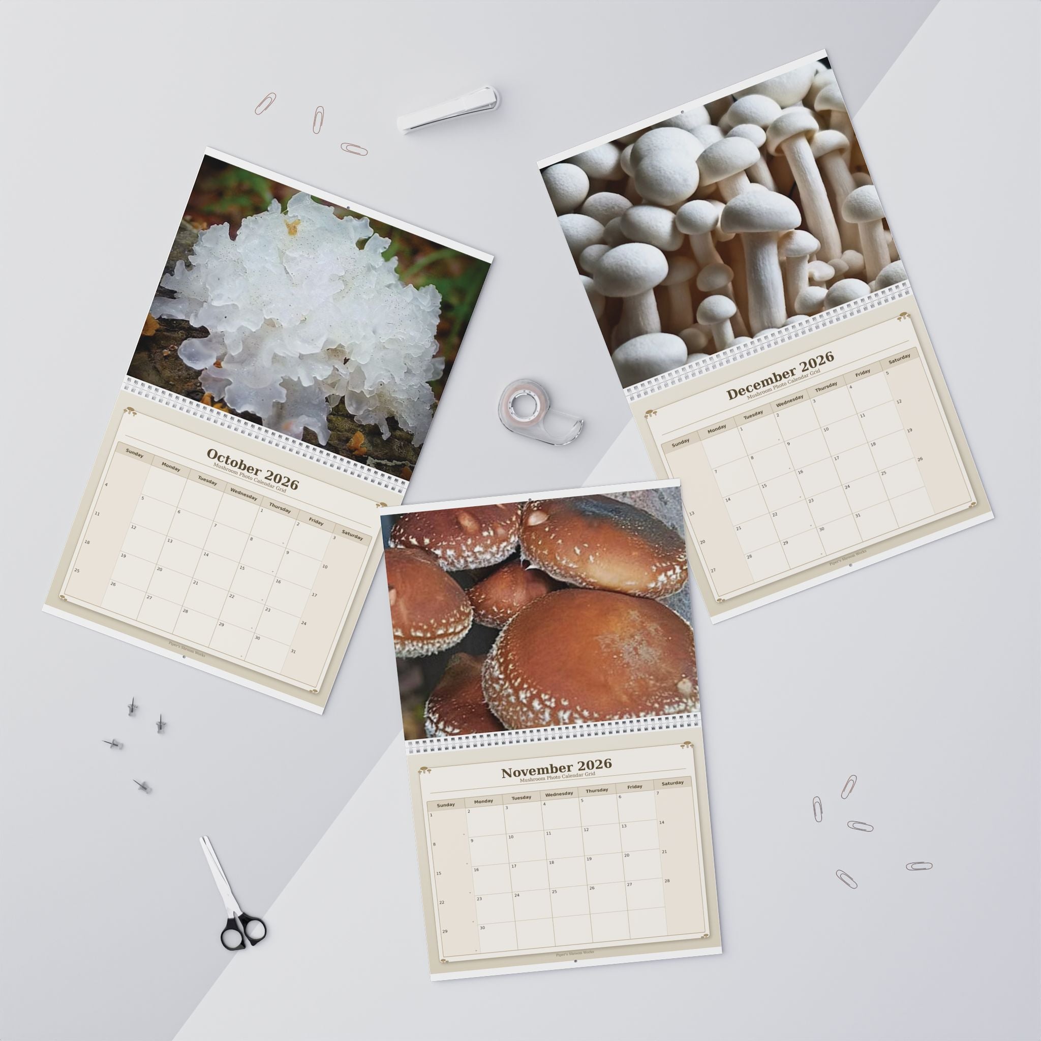 Mushroom Wall Calendar — 12-Month Fungi Photography Calendar (Monthly Planner)