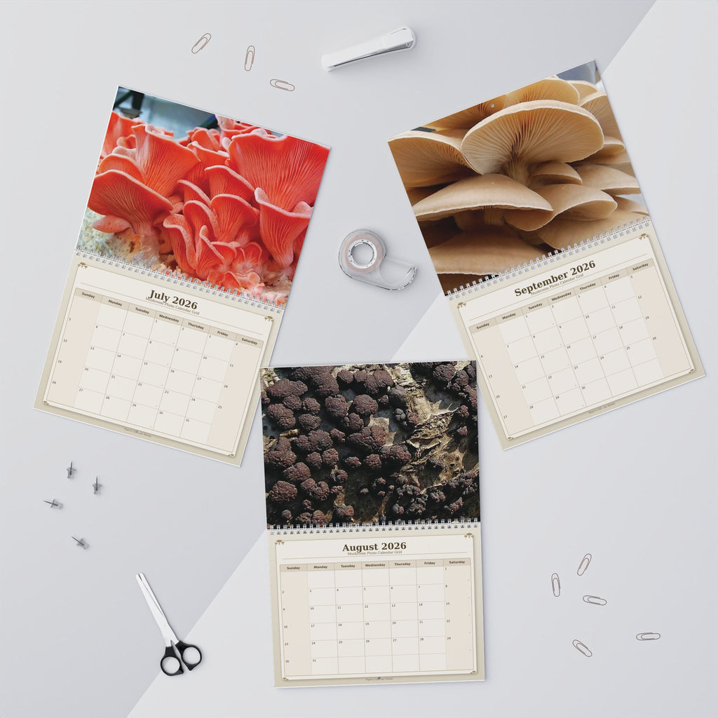 Mushroom Wall Calendar — 12-Month Fungi Photography Calendar (Monthly Planner)