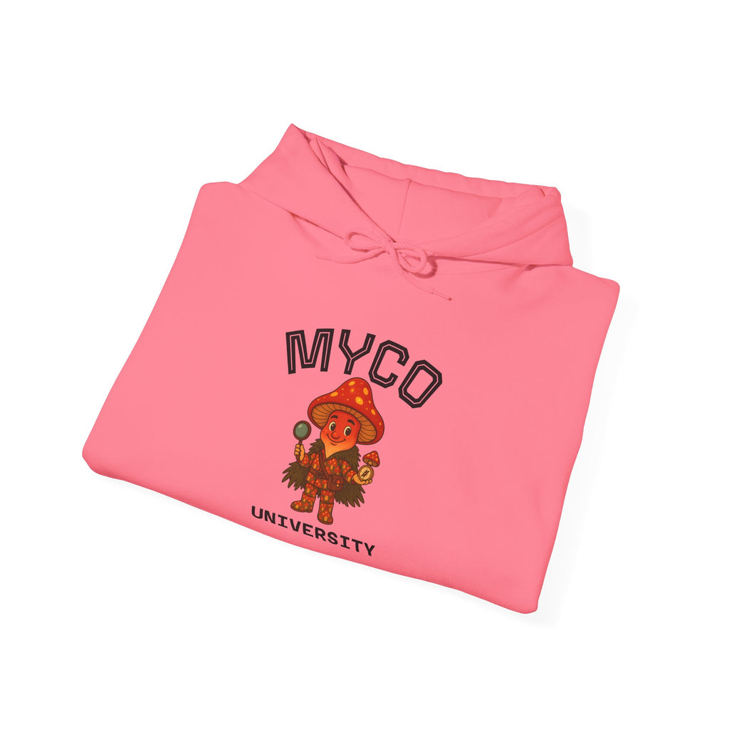 Myco University Lion & Mushroom Hoodie — Psychedelic Lion Graphic Pullover