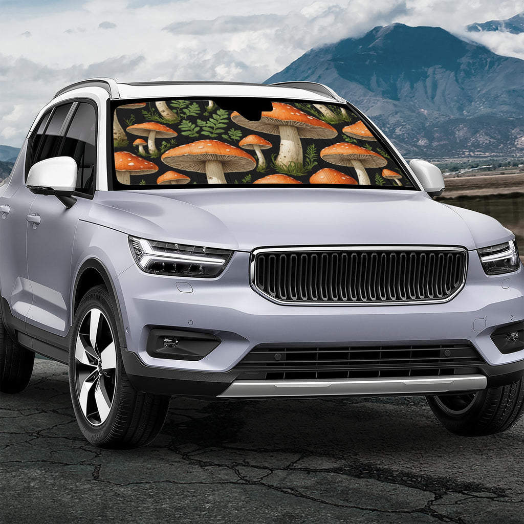 Auto Sunshades